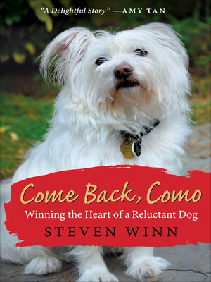 cover image of Come Back, Como